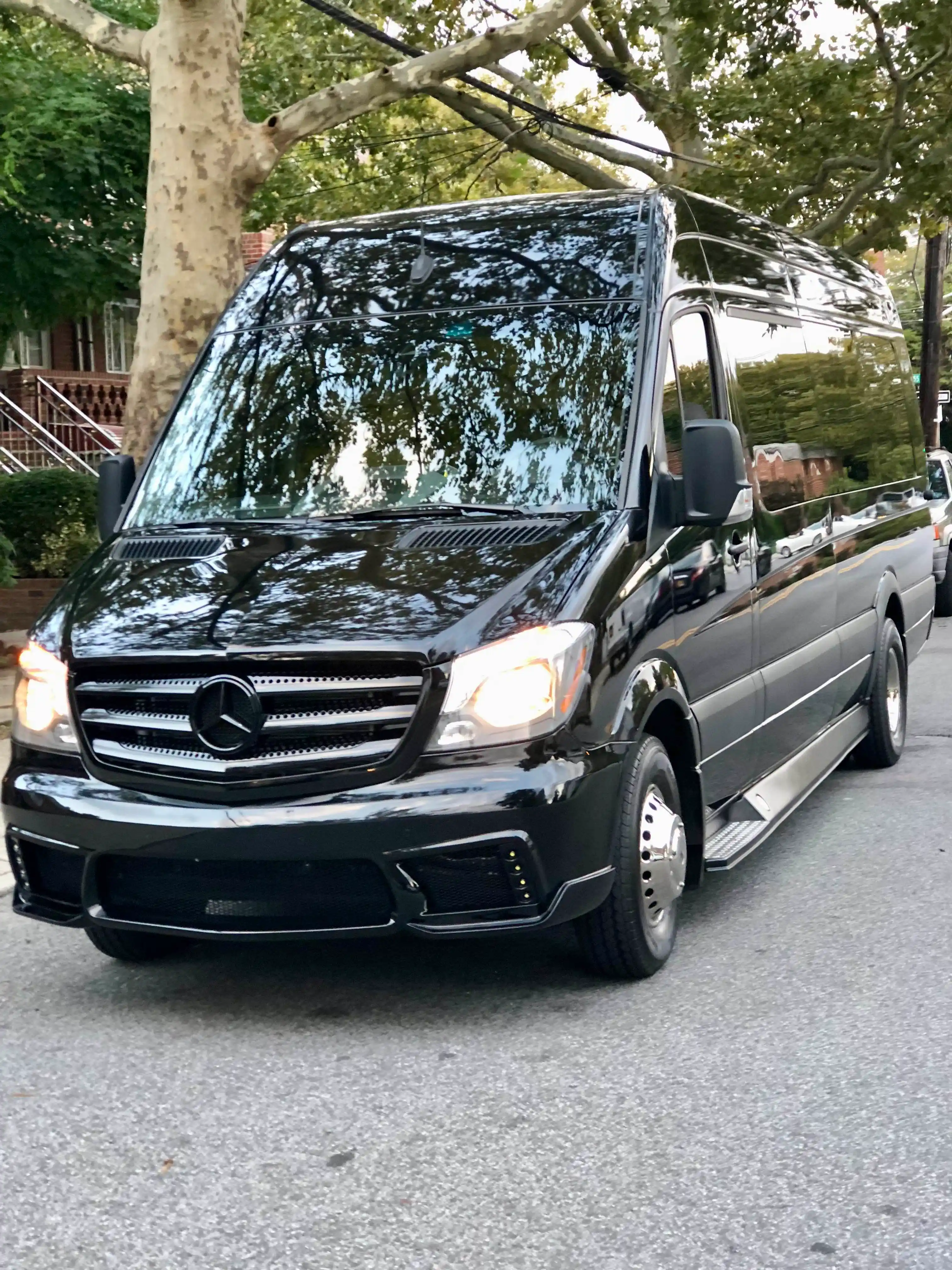 Maybach Sprinter - Image 9