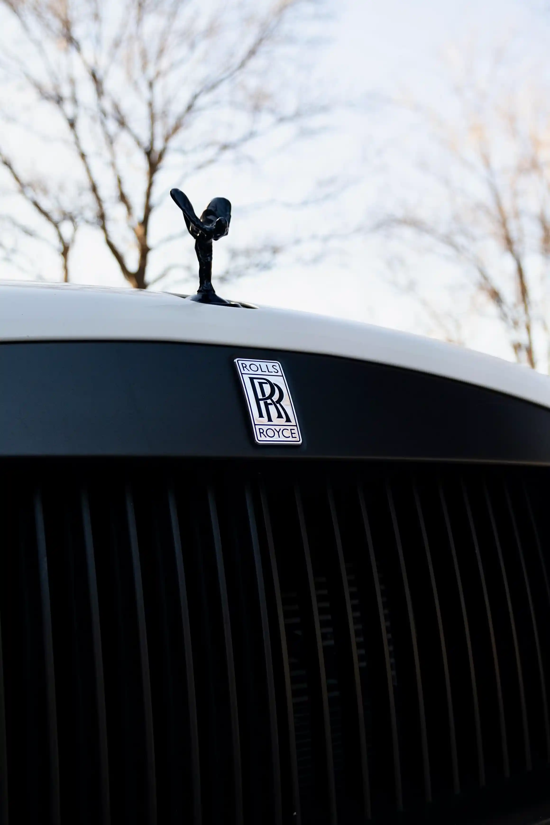 Rolls Royce - Image 11