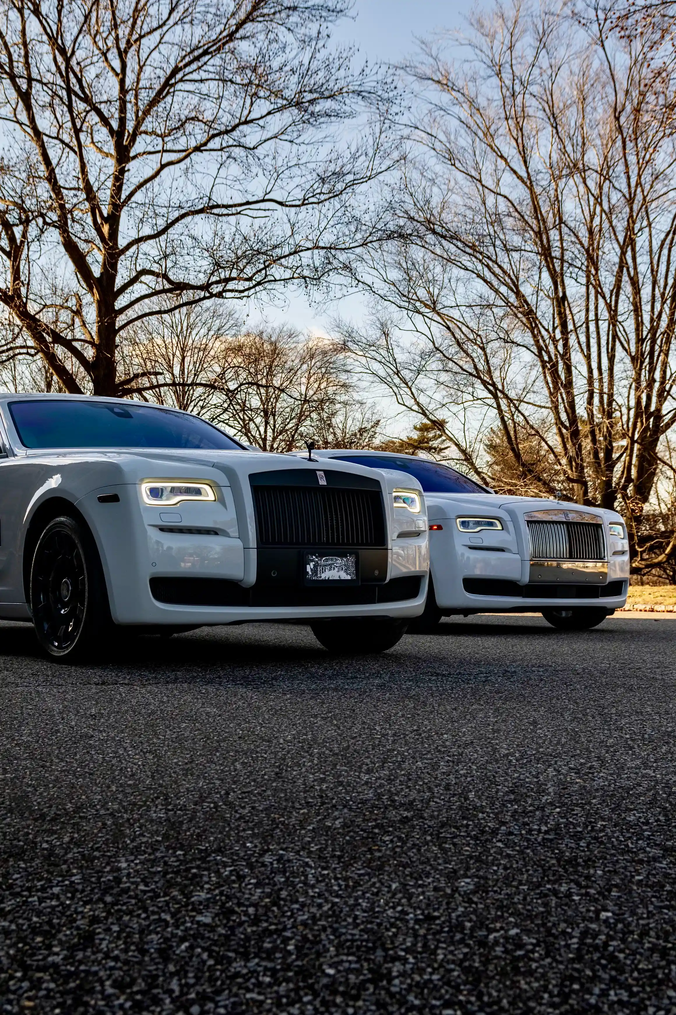Rolls Royce - Image 7
